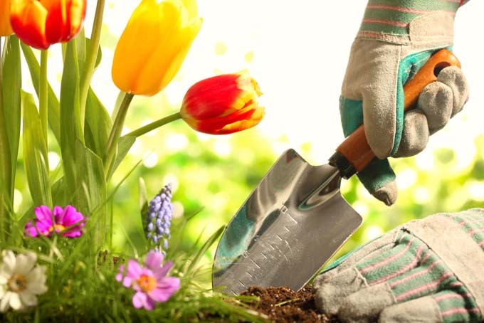 Handy Gardening Tools for Building an Outstanding Garden
